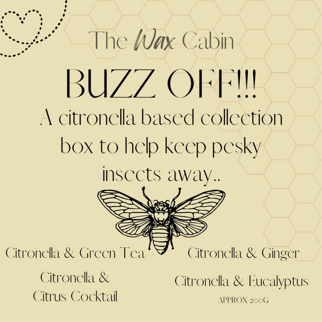 Buzz Off Collection Box